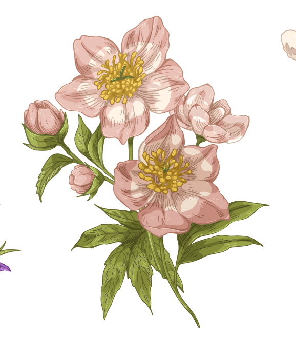 Hellebore December Birth Flower Tattoo